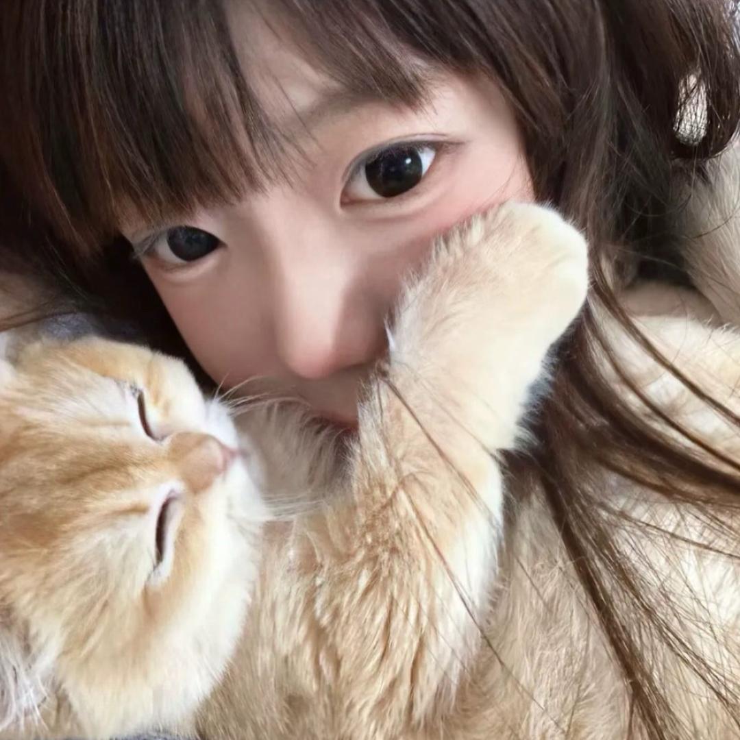 小海苔.