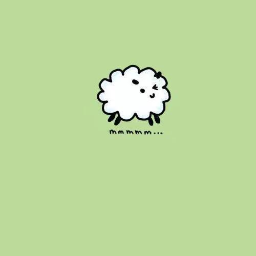 小羊咩咩杂货铺🐏