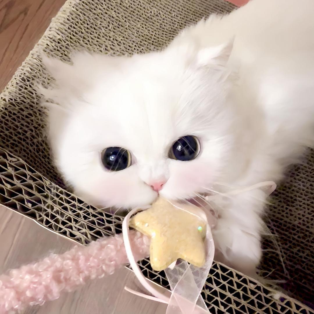 对待欣欣要用心