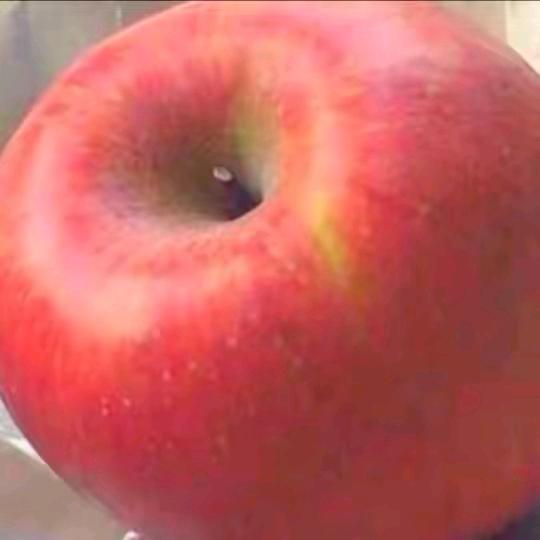 Wwwwq