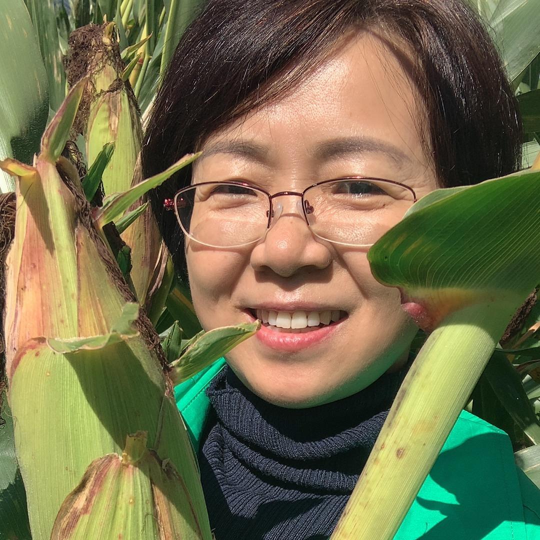 金土地种业@抖音