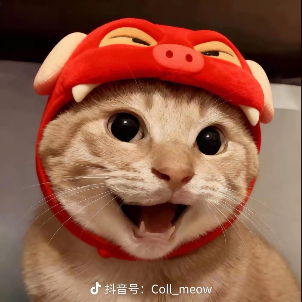 H^