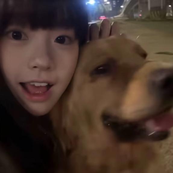 罗马尼亚的花开富贵