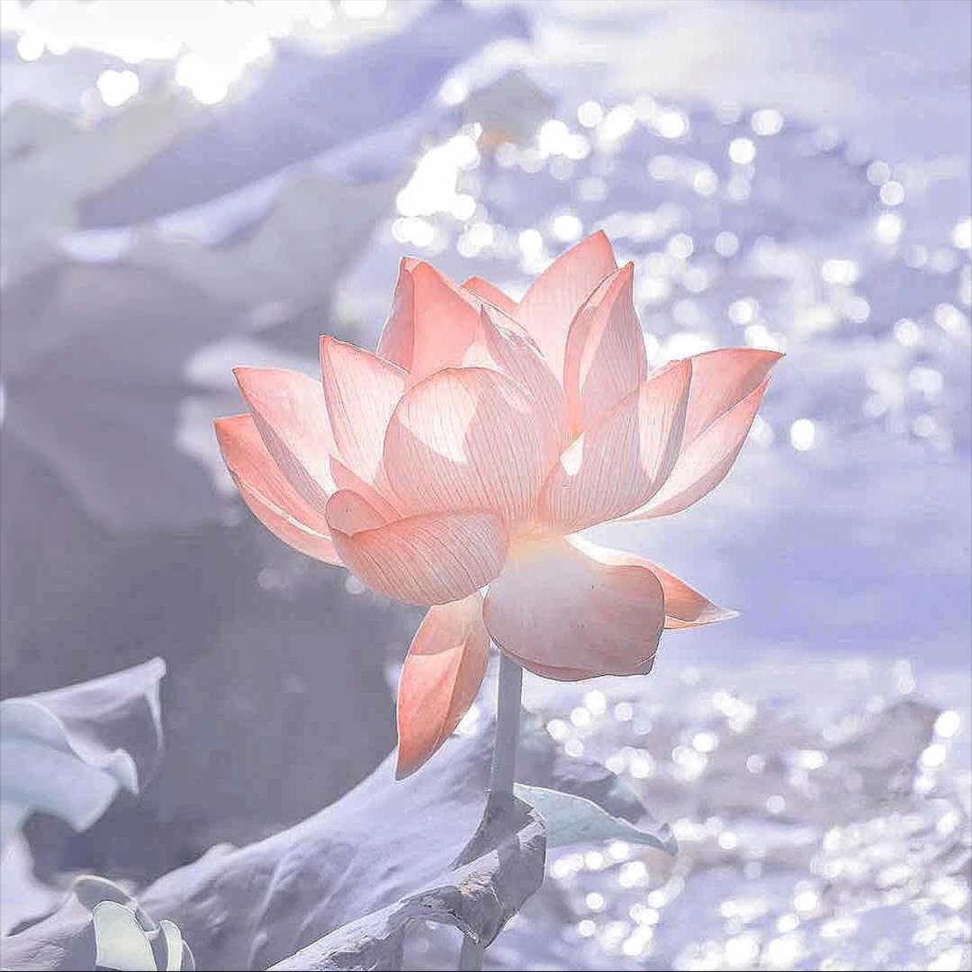 平淡是真