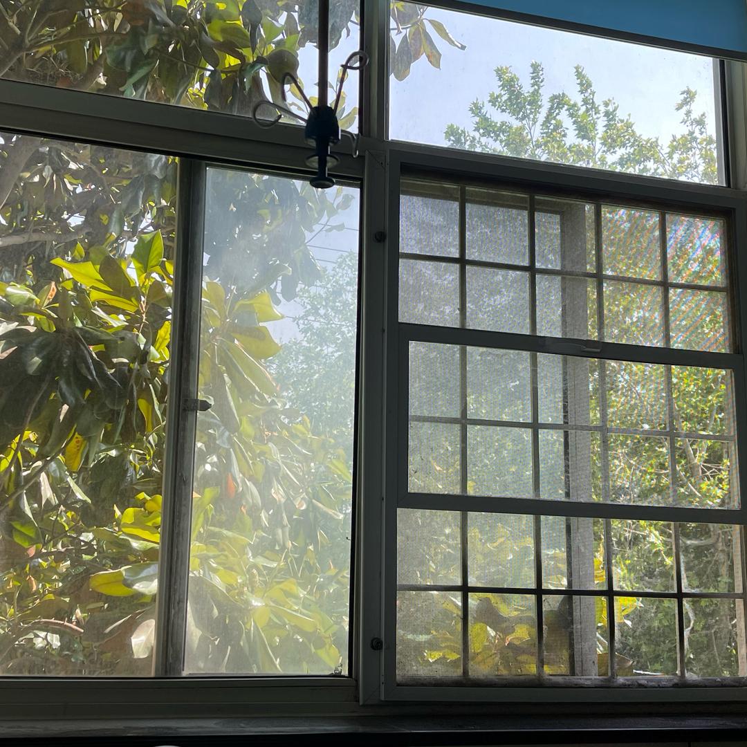 夏雨见