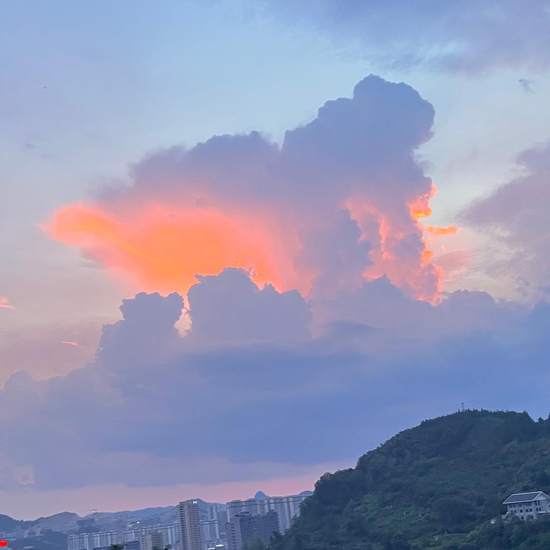 摇落月