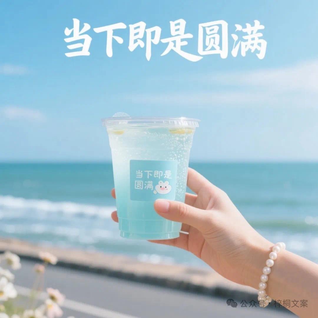 胖胖的小贝