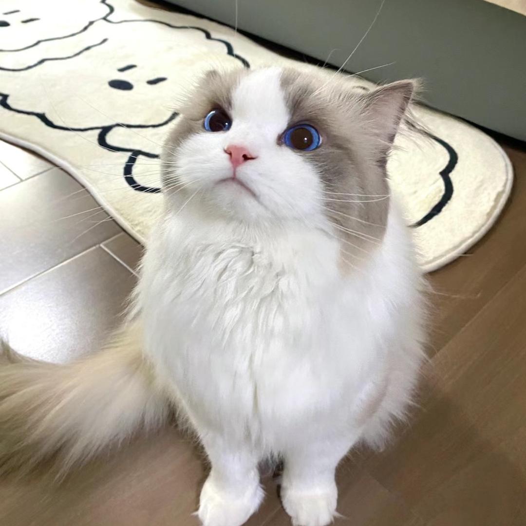 今晚不睡觉