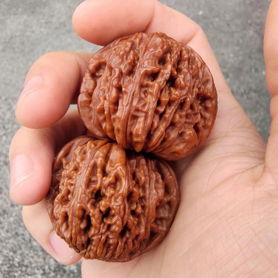 核硕文玩413