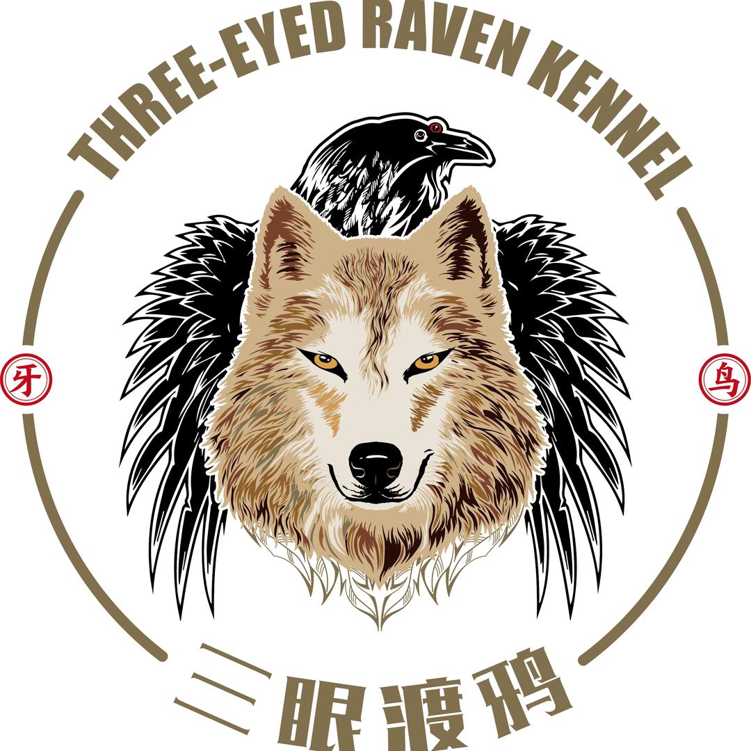 三眼渡鸦捷克狼犬