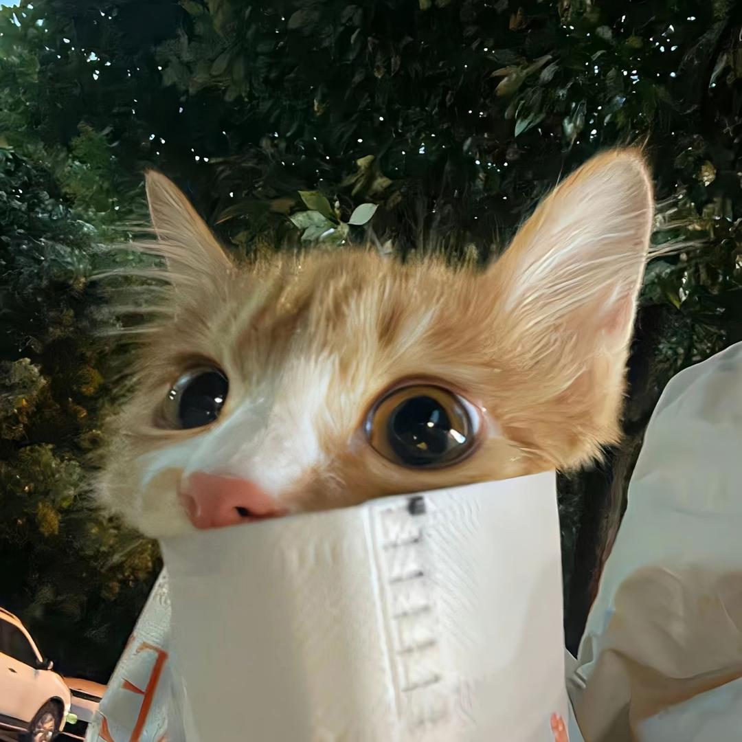 一枝猫🐱