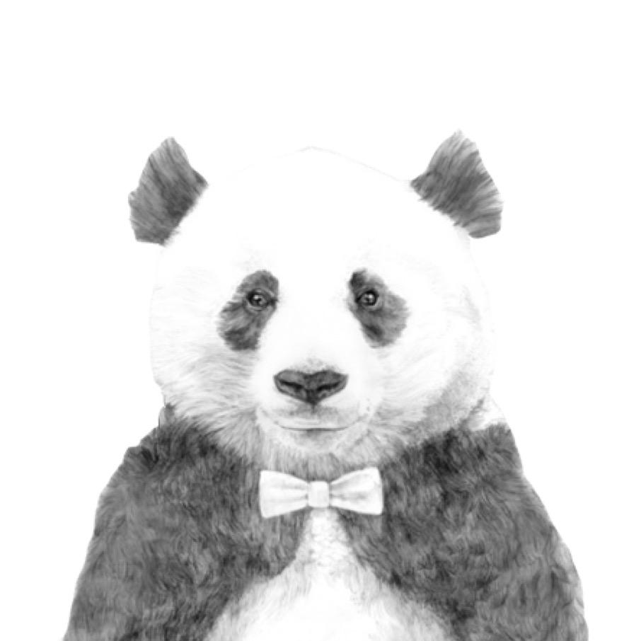 胖达影视