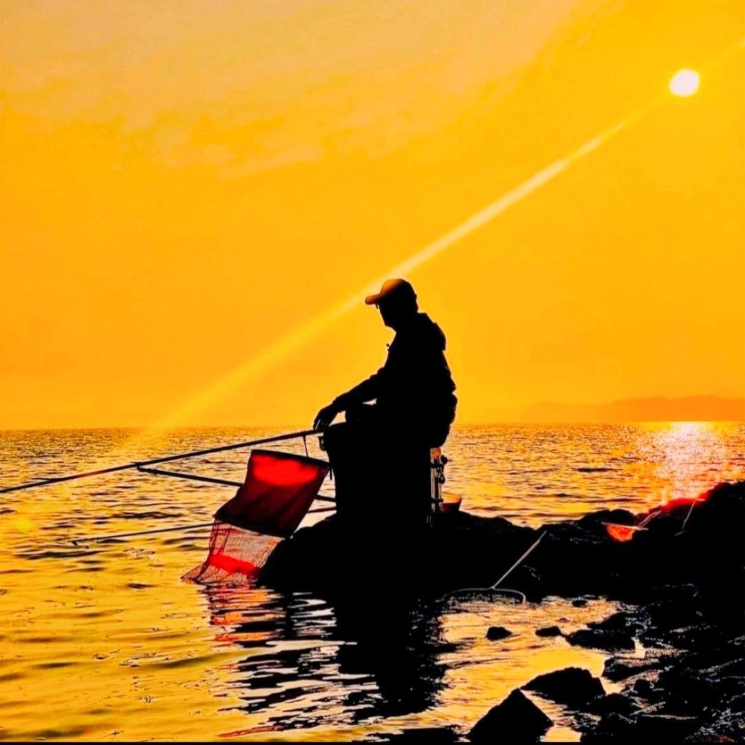 阆中蓓诚二手车