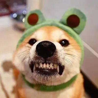野的像个王