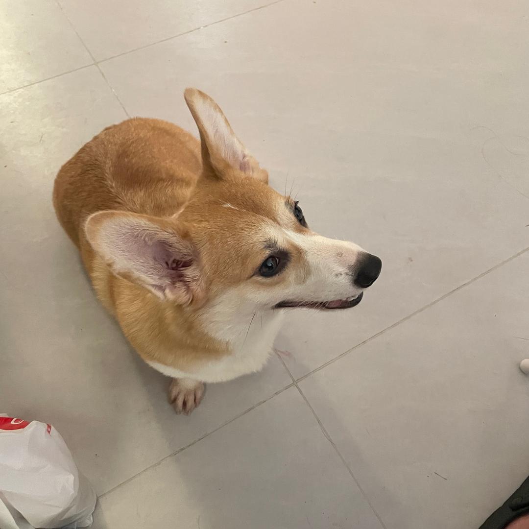 1杯冰美式