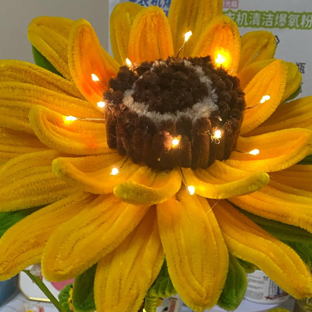 是辰宝吖