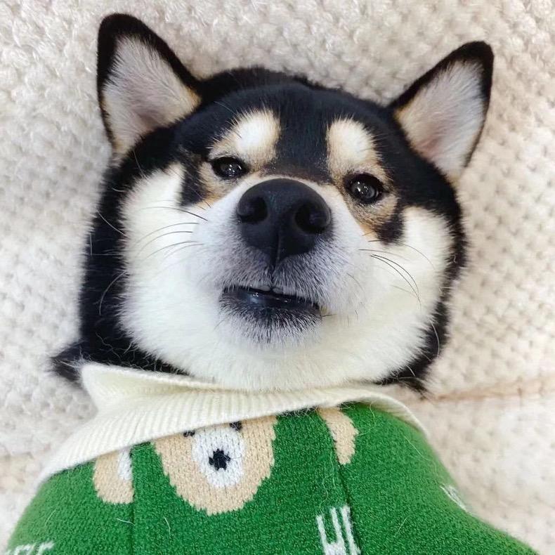 张＞本事《找个对象》