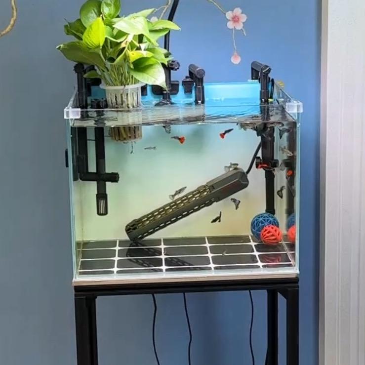 养鱼龙哥、好物号