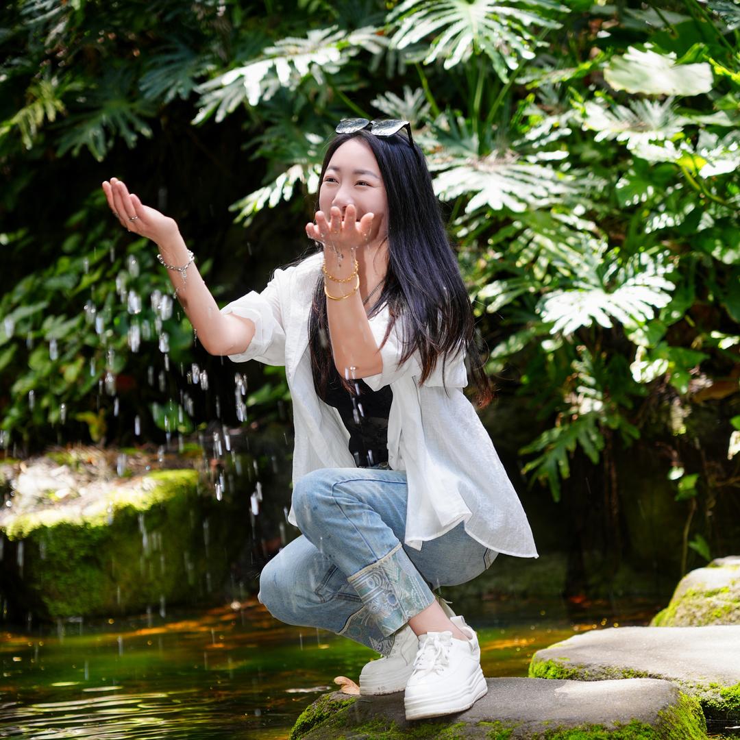 燕子,