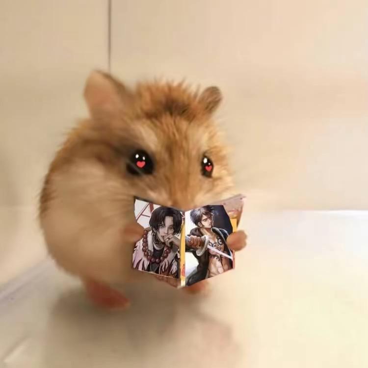 哦椰！