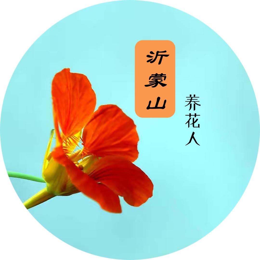 沂蒙山养花人