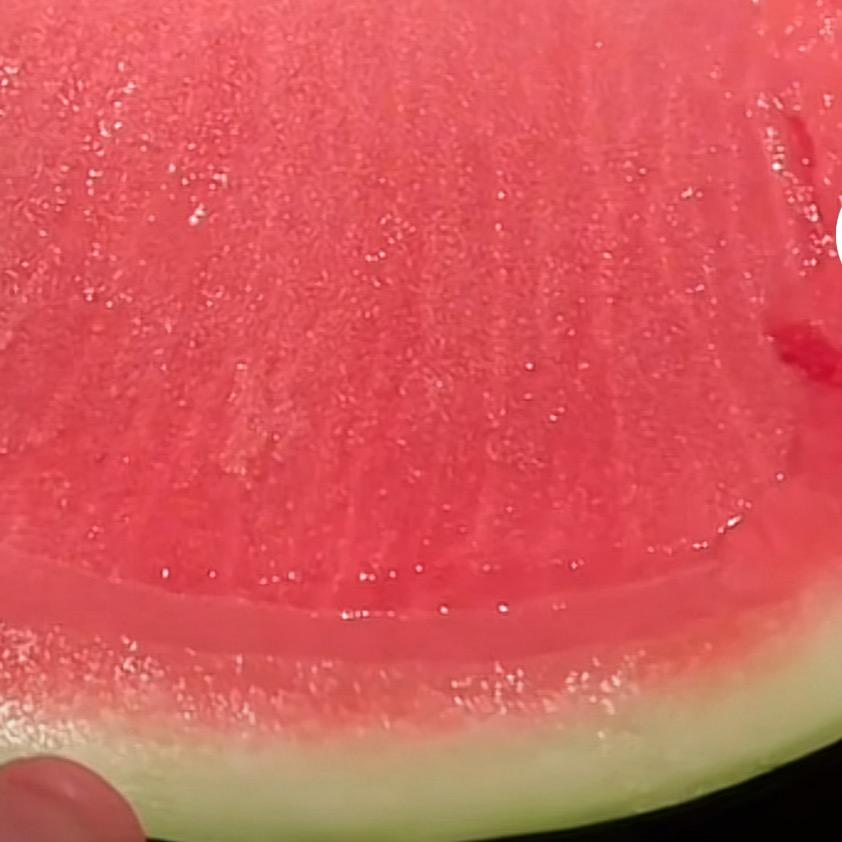 我爱吃西瓜🍉