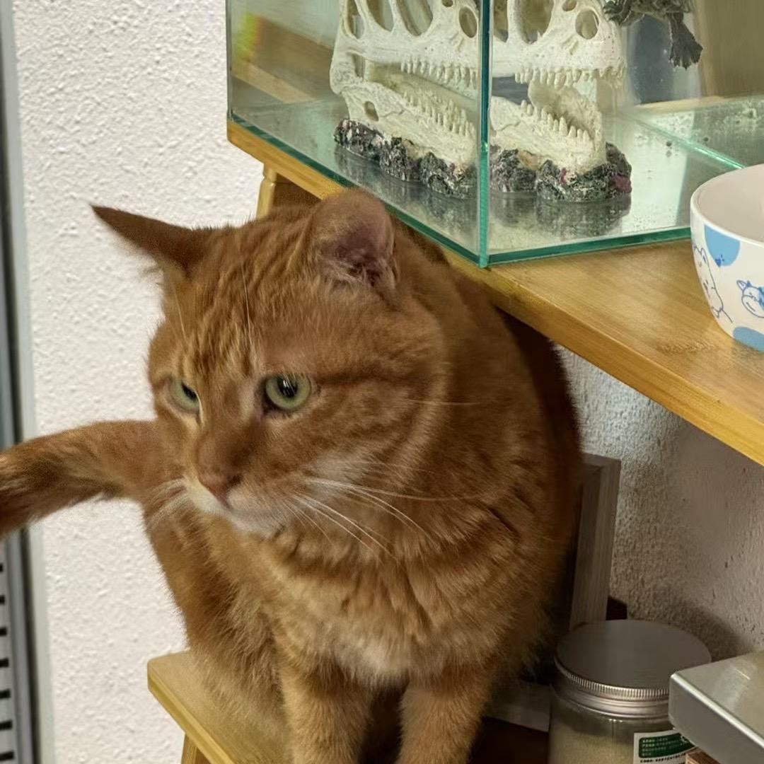 带你去看海
