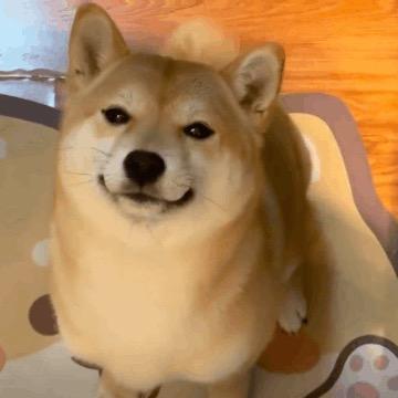 小明