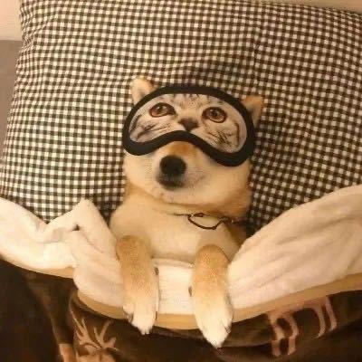 火烧烧鸭腿