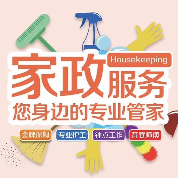 阿丽带你做家政