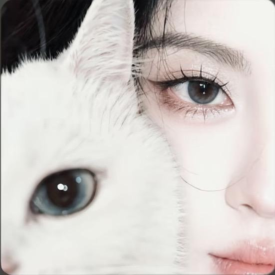 呆呆鱼（手游）