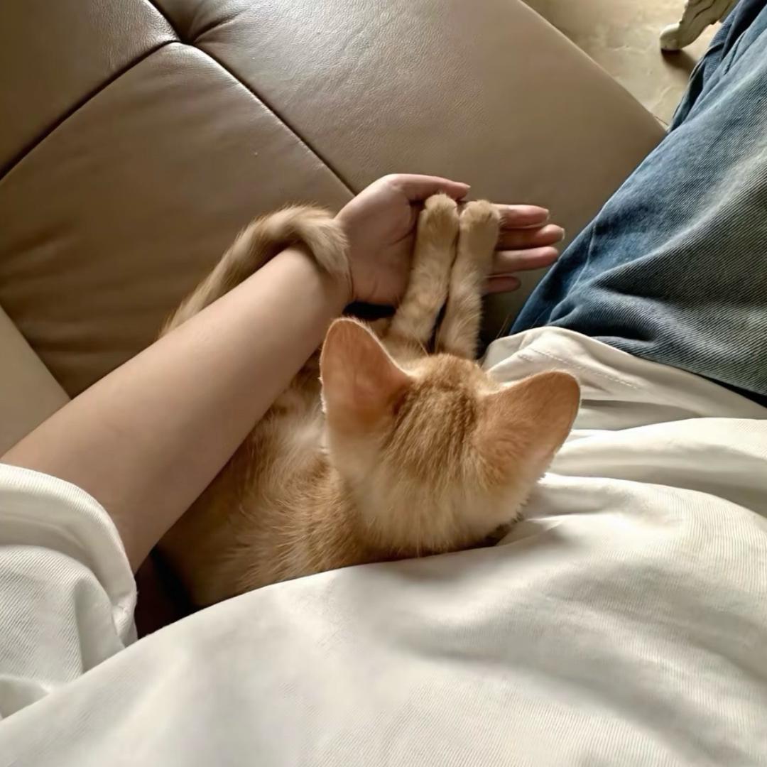 你也喜欢看海吗?