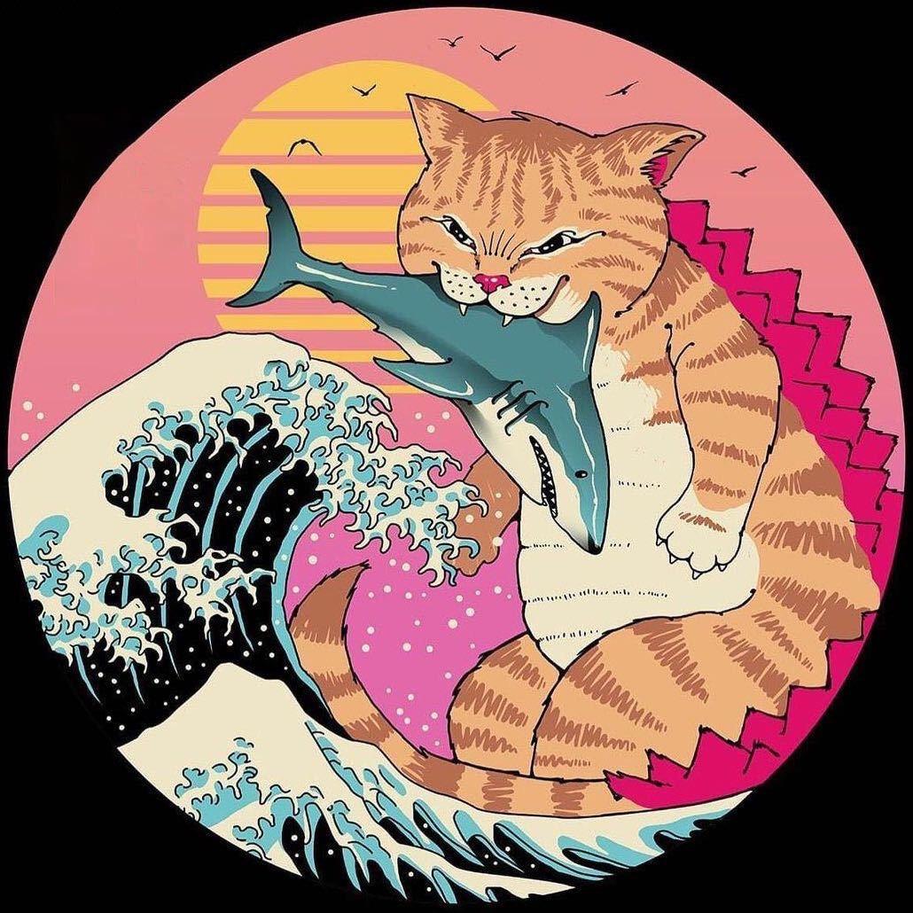 薛定谔的九命怪猫