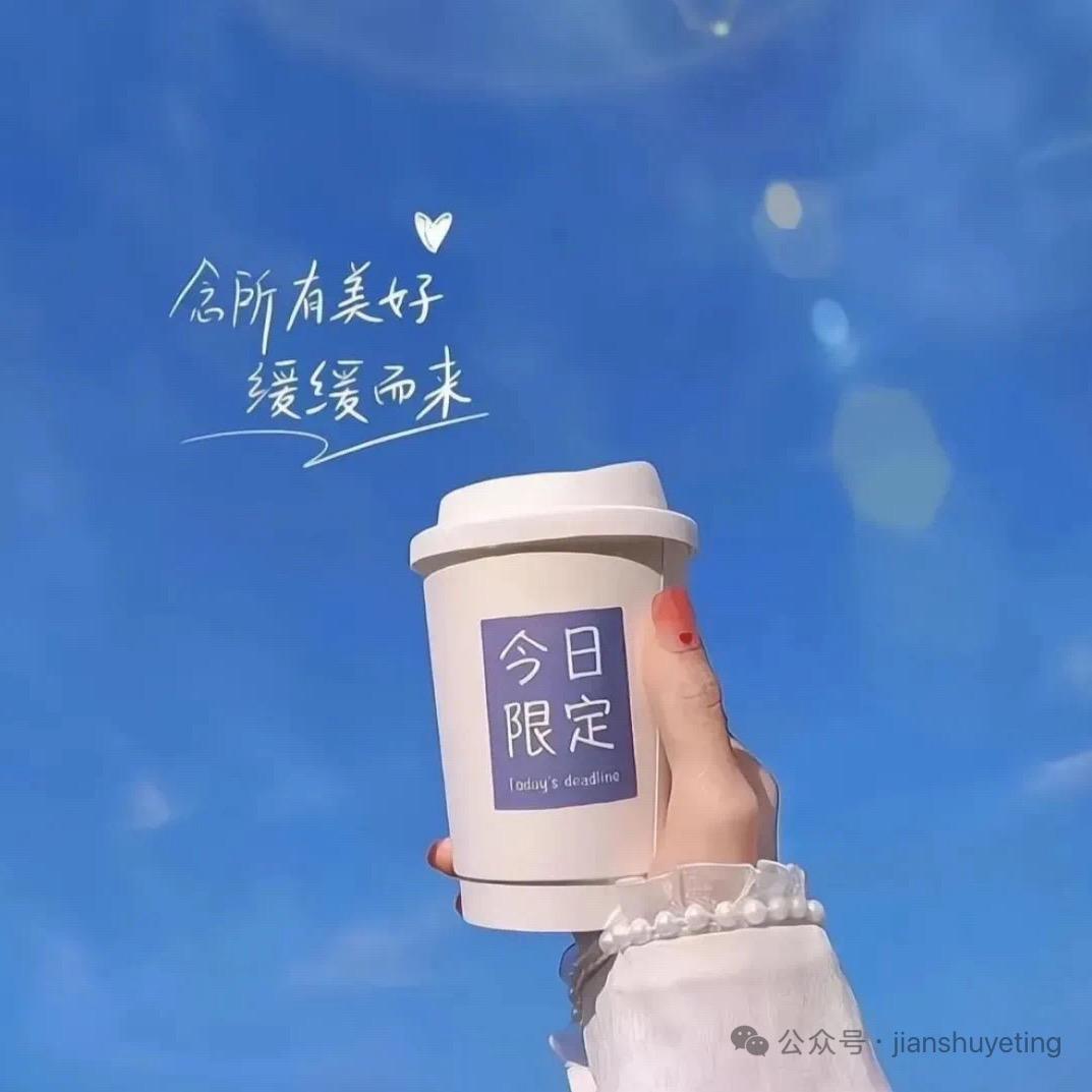 颍上莫干山板材总店