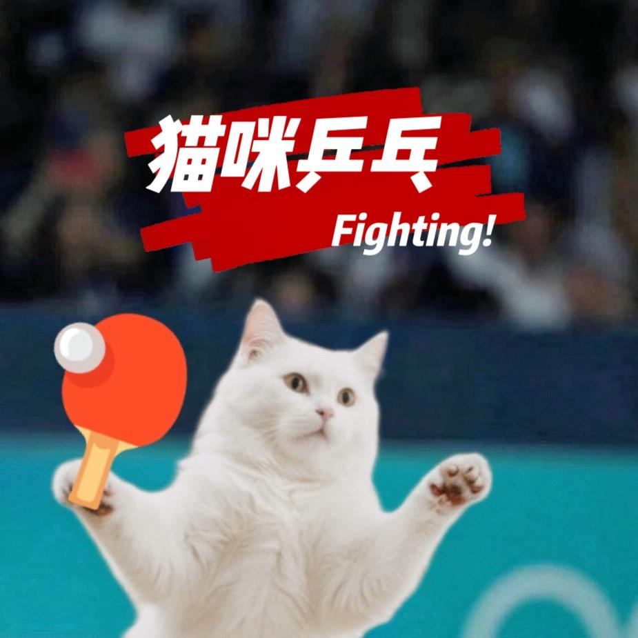 猫咪乒乓
