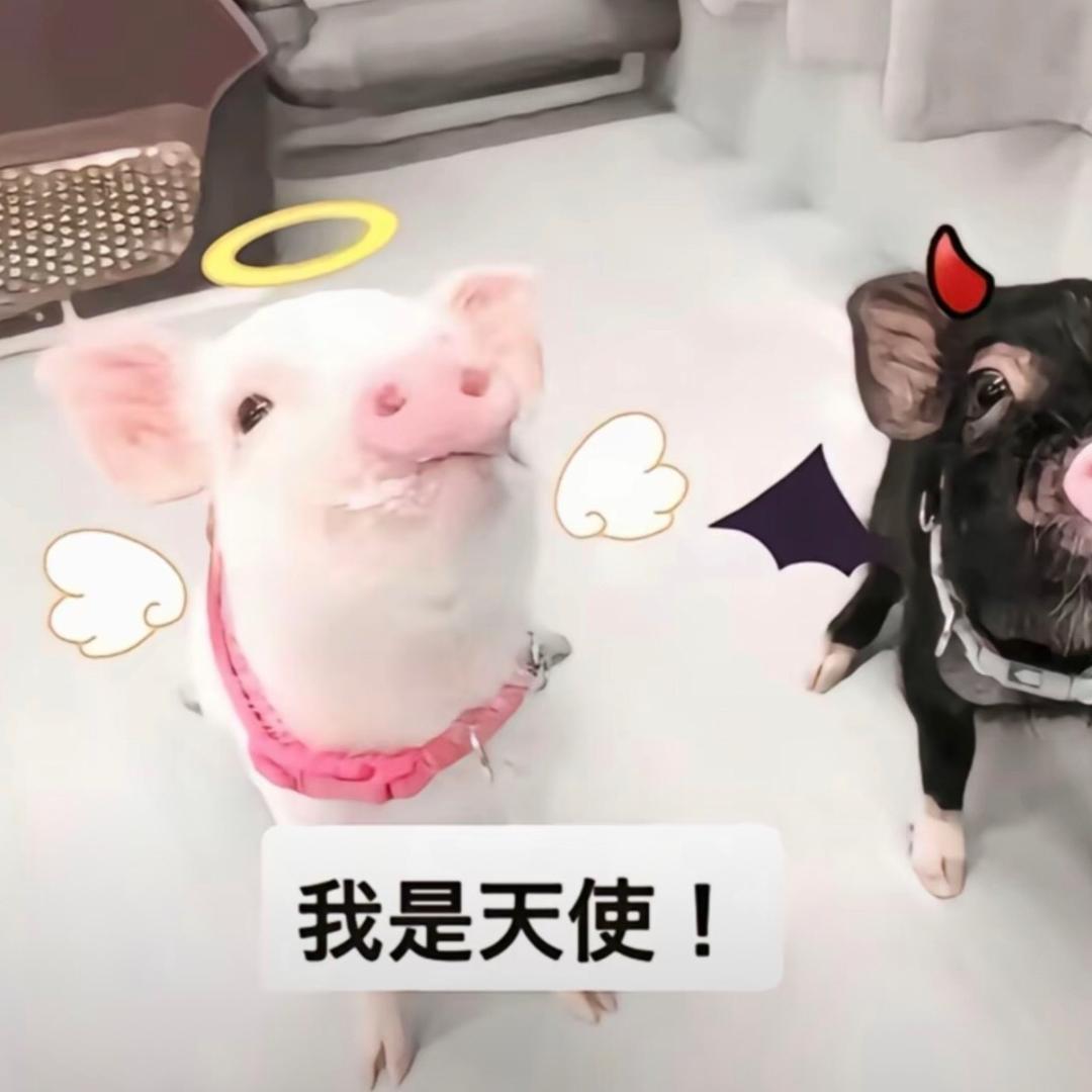 老师同学在天堂