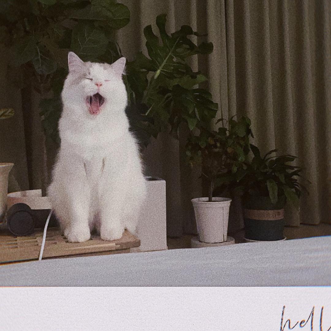 豆包豆皮逗可可 ^_^