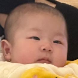 大炳饼