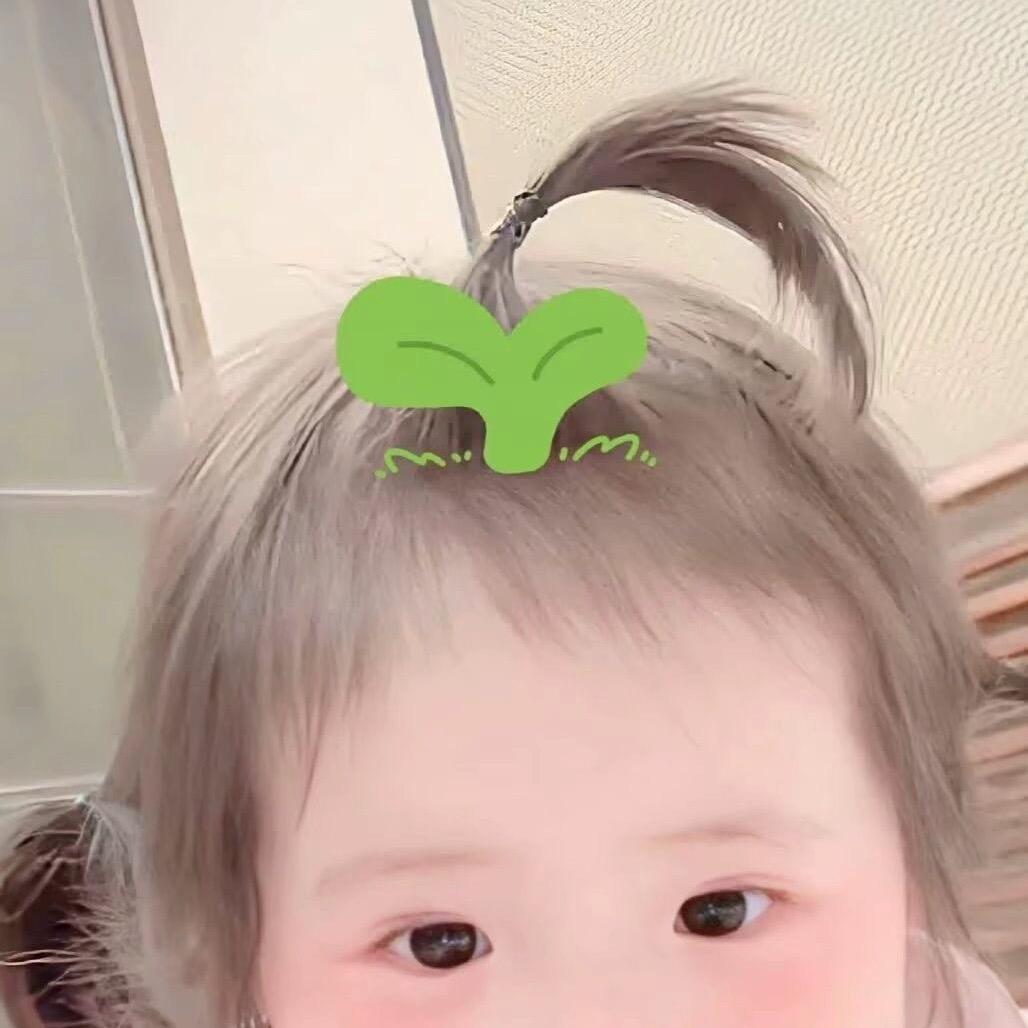 乔小猪