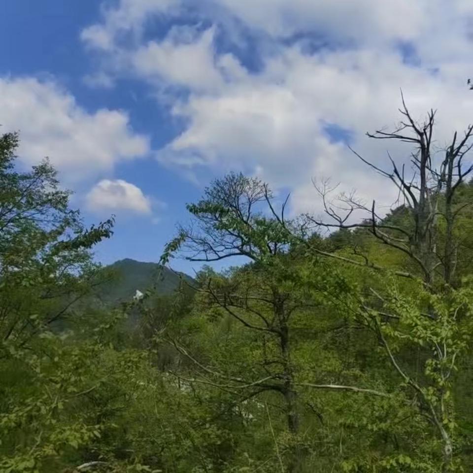 金寨县美丽的乡村——小南京