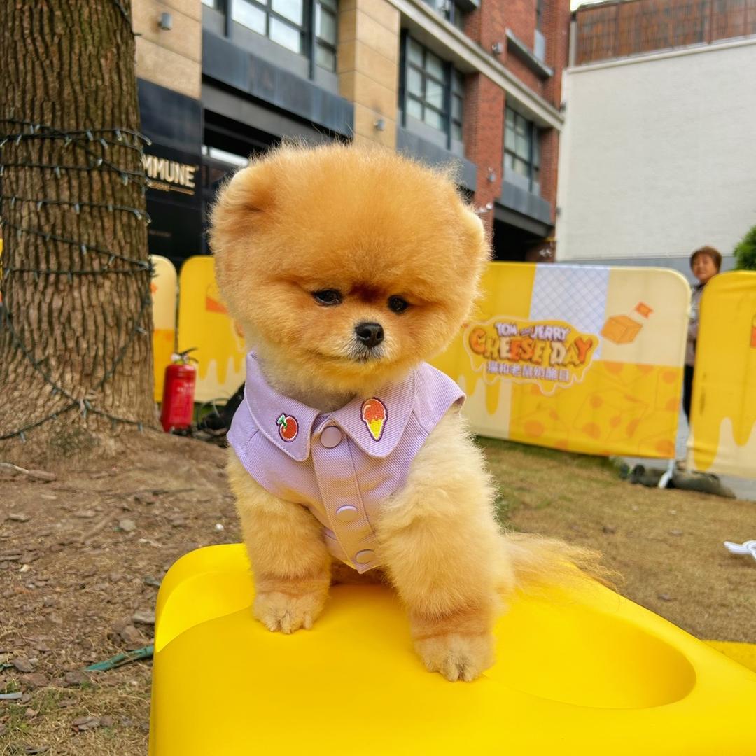 今天你吃饭了吗