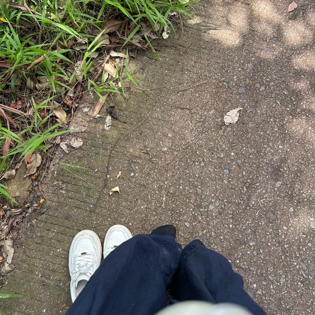 牛牛