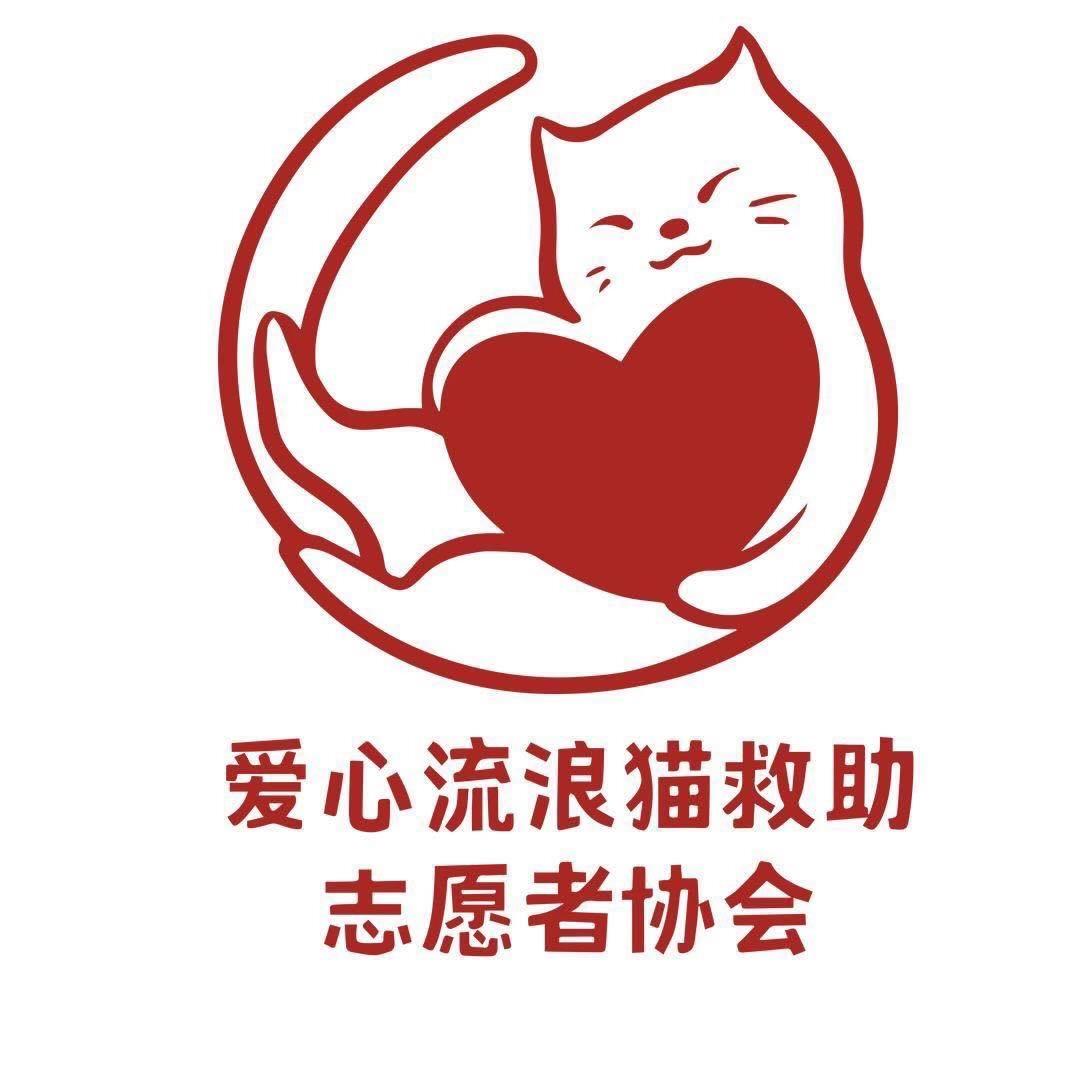 长春市爱心流浪猫救助志愿者协会