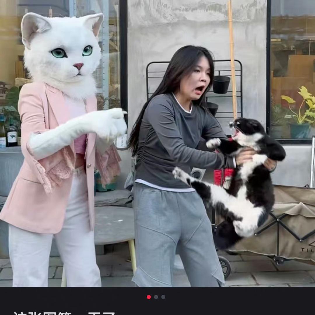 淼淼