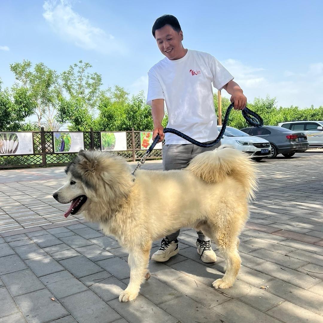 旅徒在旅途（草原穿越）