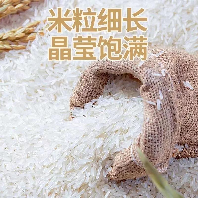 长粒香米