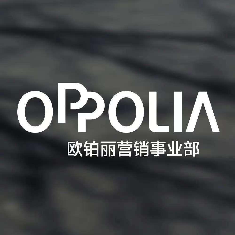 阜新欧铂丽全案定制