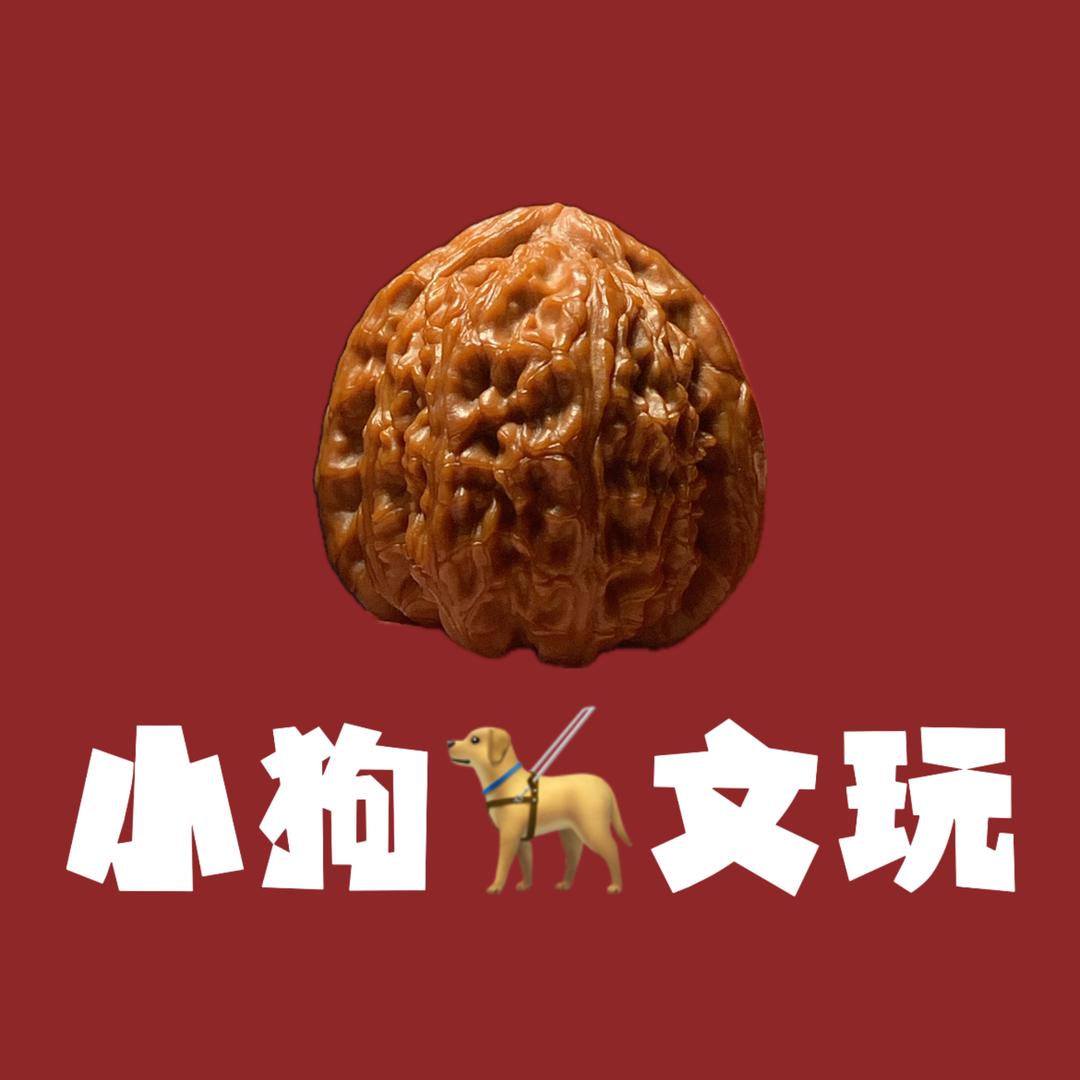 小狗🦮与核桃
