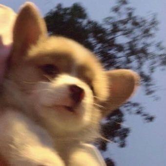 我云天下第一美🥰