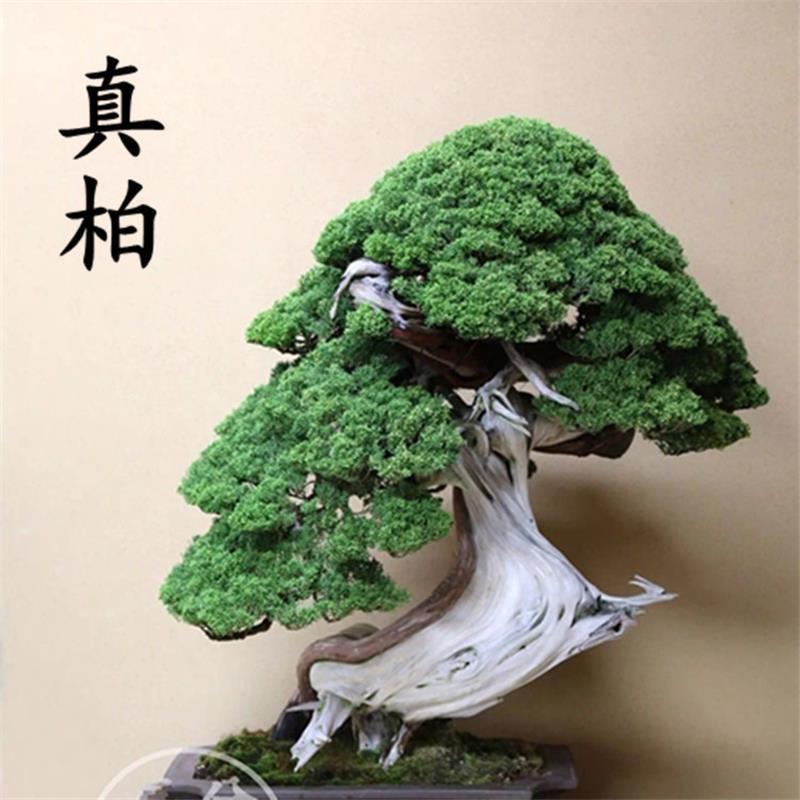 壹叁园艺